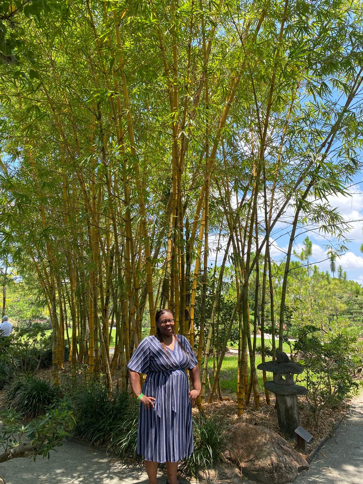 Morikami Gardens, Boca Raton, Florida